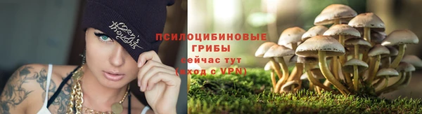 MESCALINE Вязьма
