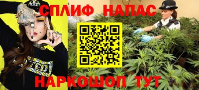 ECSTASY Гагарин