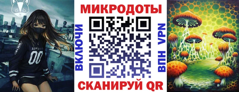 Галлюциногенные грибы Cubensis  Гусь-Хрустальный 