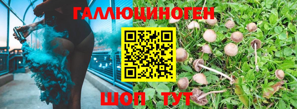 Гусь-Хрустальный  Галлюциногенные грибы GOLDEN TEACHER  Вход с VPN 