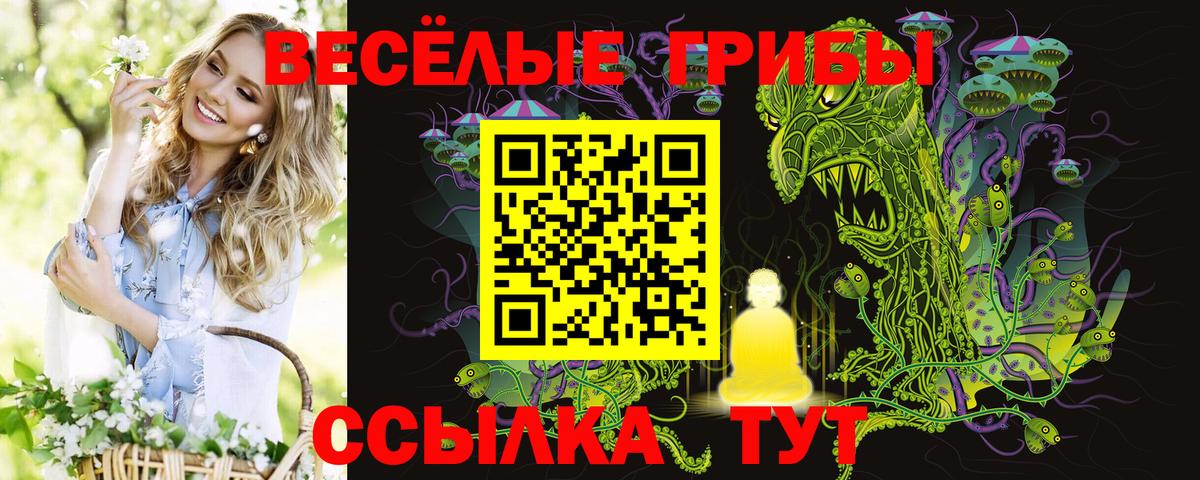 Псилоцибиновые грибы мухоморы Гусь-Хрустальный