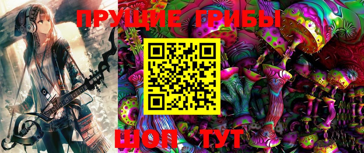 Псилоцибиновые грибы Psilocybe Гусь-Хрустальный